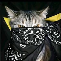 suara asli - Tuzzz