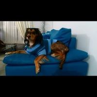 alexanderaramburo7352