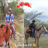 alexolazar86gmail.com