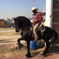 pablosuarezbles