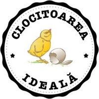 clocitoareaideala
