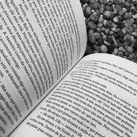 ..booksstann