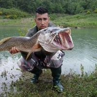 tiberiu.mihai.mesesan_