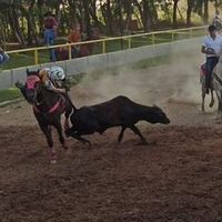 jsquenza