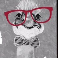 funky_ostrich