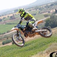 didacarfelis311_