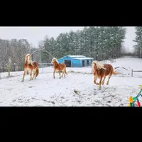 original sound - bbgrevvder654