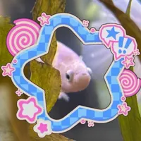 original sound - ambziess