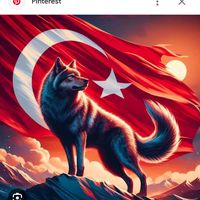 orijinal ses