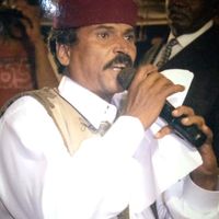 الصوت الأصلي