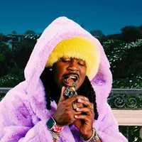 tell em snippit cochise