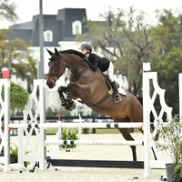 original sound - mischa.eqq