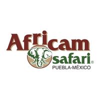 sonido original - AFRICAM SAFARI
