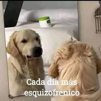 som original