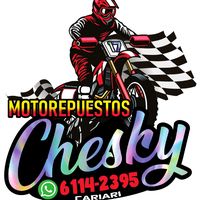 motorepuestoschesky