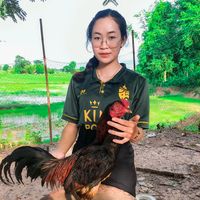 เสียงต้นฉบับ - มลนภาฟาร์ม