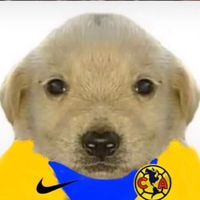 .america_mx
