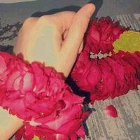 areeshprincees6