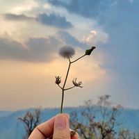 original sound - ตามมาฟัง🎧