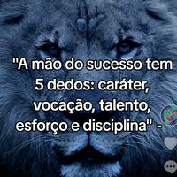 vifrasesv
