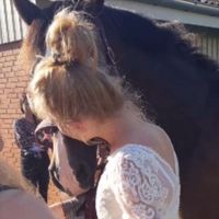 cm_dressage