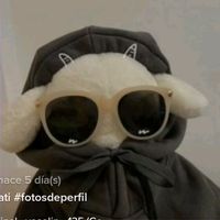 un_conejo_de_barrio