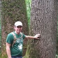 andrei.cojuhari