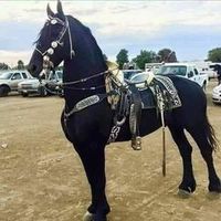 userzdwmihj8mr