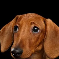 original sound - siriassisttv