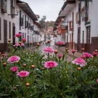 llohiscolla