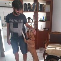 πρωτότυπος ήχος