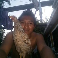 sonido original