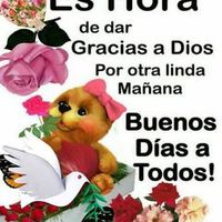 lucindaamaya135