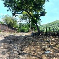mitamarindo5