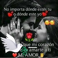soniamiranda2269