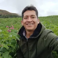 original sound - rogervenanciojorge