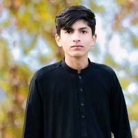 nasirkhan8528