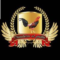 galloselgrillo