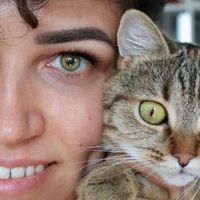 оригінальний звук