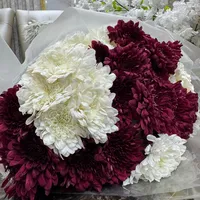 original sound - hallumy.17