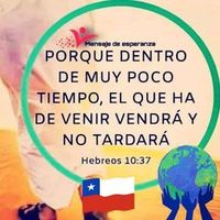 chichiangelica4369
