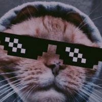 memes.exe_____