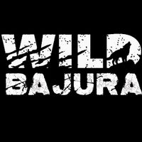 original sound - Wild Bajura