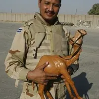 original sound - pachecoptero