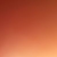 buntlander5