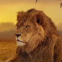 original sound - ferozzleao