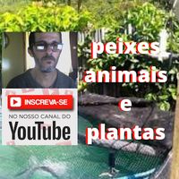 peixes.animais.e.plantas