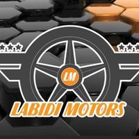 labidimotors100