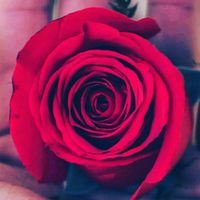 original sound - M I A N speaks 🗣