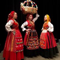 ocancioneirodoaltominho